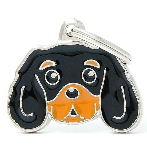 Cavalier king charles spaniel - cavalier,