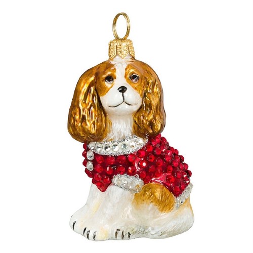 Blenheim cavalier king charles - blenheim,