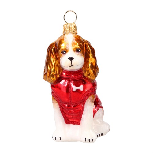 Blenheim cavalier king - cavalier,