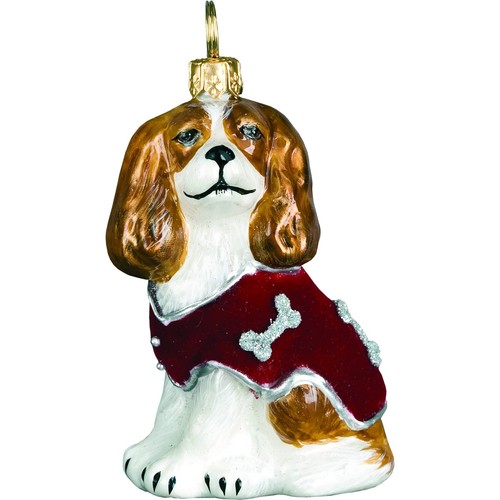 Cavalier king charles spaniel - cavalier,