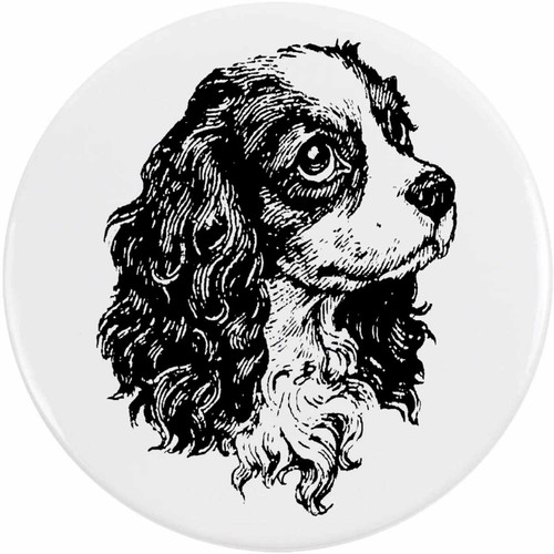 King charles spaniel - 'king, spaniel'