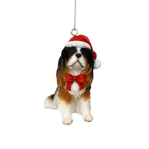 Cavalier king charles spaniel - king,
