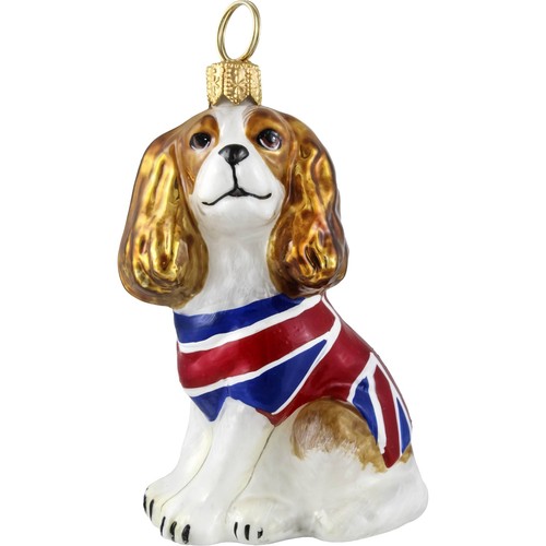 Blenheim cavalier king charles - blenheim,
