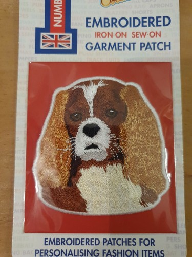 Blenheim cavalier king charles - cavalier,