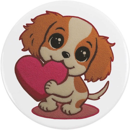 Cavalier king charles spaniel - 'cavalier,