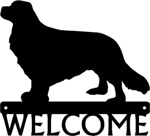 Cavalier king charles - charles, spaniel