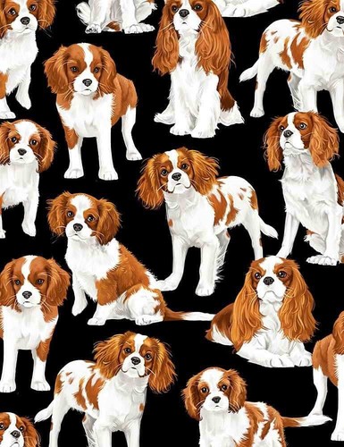Dog cavalier king - dog,