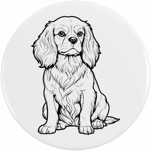 Cavalier king charles - 'cavalier,