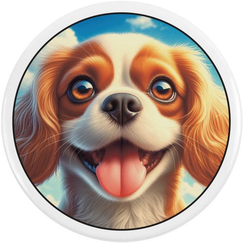 Cavalier king charles - 'cavalier, charles'