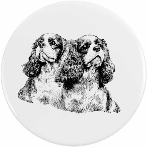 Cavalier king charles - 'cavalier, spaniel