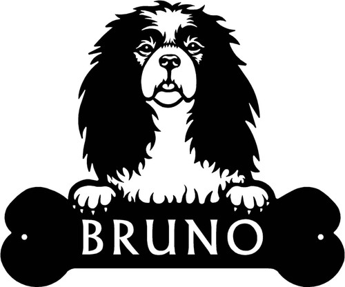 Cavalier king charles - cavalier,
