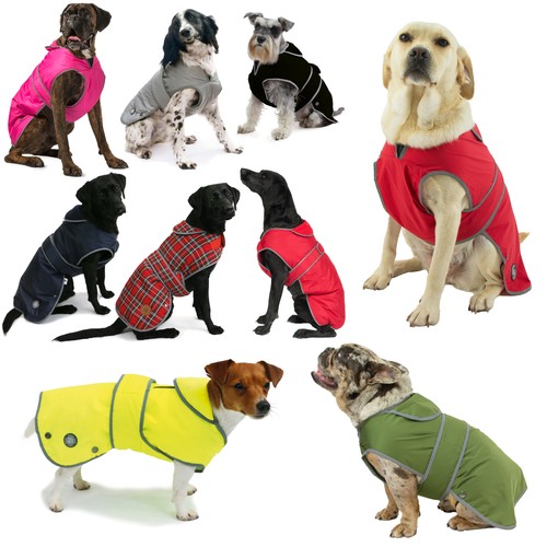 Ancol muddy paws - paws, coats