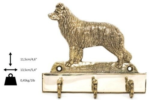 Border collie brass coat - collie,