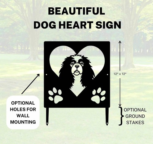 Cavalier king charles spaniel - charles,