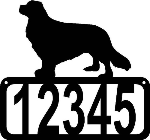 Cavalier king charles - charles, spaniel