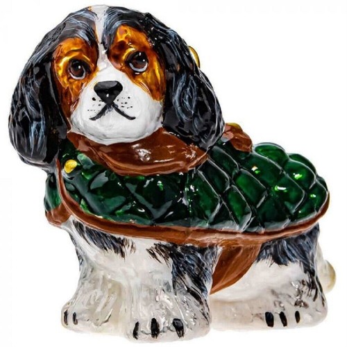 Tri color cavalier king - tri,