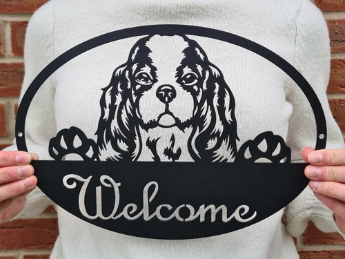Cavalier king charles - charles, spaniel