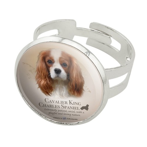 Cavalier king charles spaniel - cavalier,
