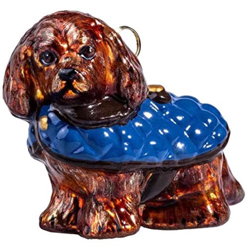 Ruby cavalier king - cavalier, charles