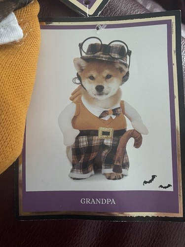 Halloween small dogs costume - dogs,