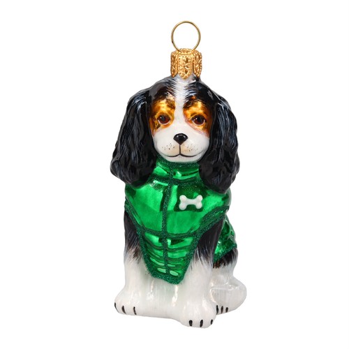 Tri color cavalier king - cavalier,