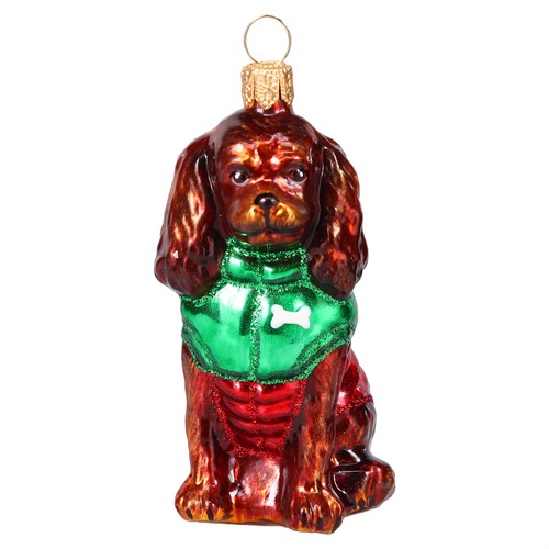 Ruby cavalier king - ruby,